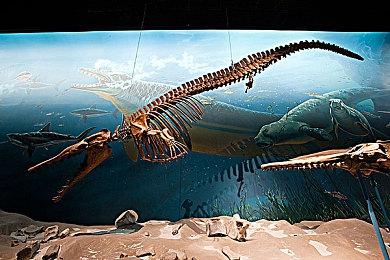 Switch操作系统级应用《nOS》上手操作演示